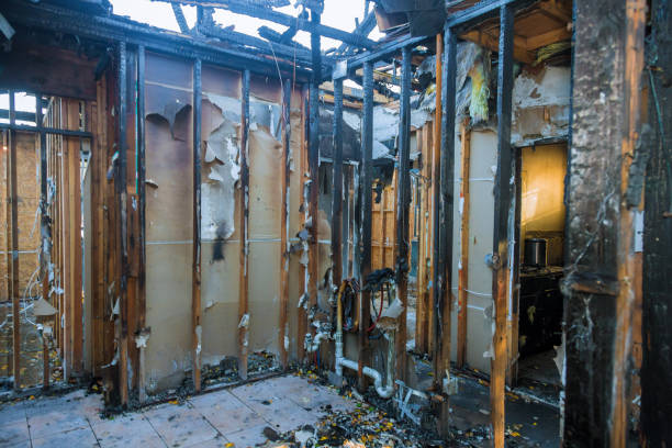 Professional Fire Damage Removal technician working in Springfield, KY